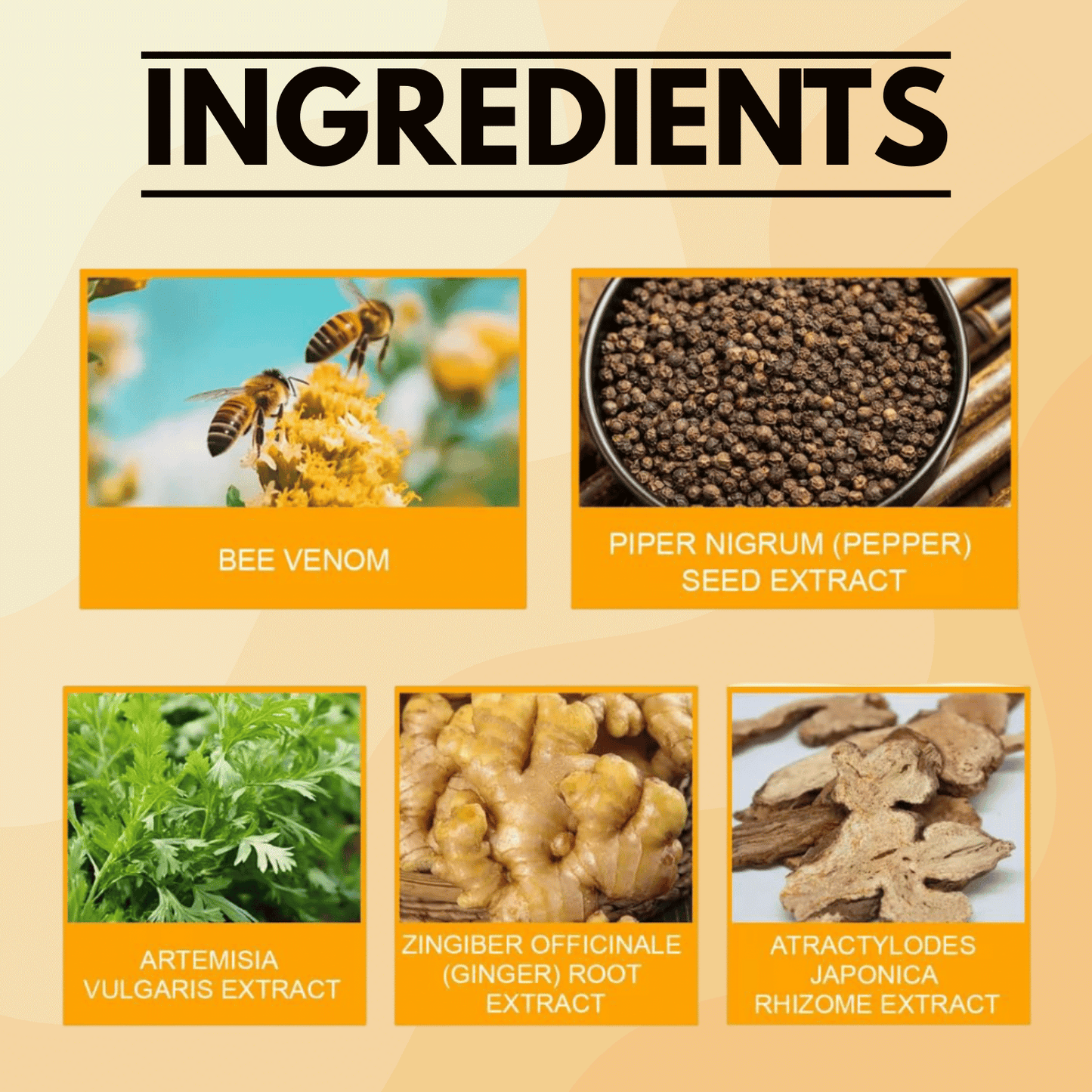 LeanPatch™ - Bee Venom Lymphatic Drainage & Sliming Patches