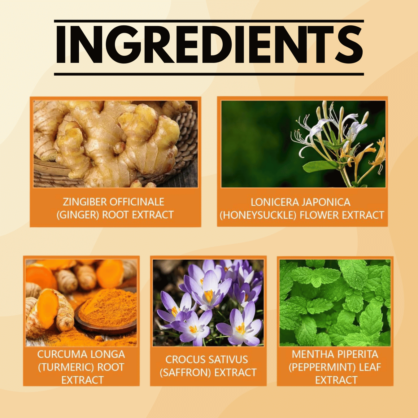 JointCare™ - Pain Relief Joint Patches (Pack of 10 Patches)